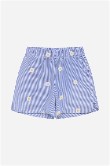 GRUNT Murcia Shorts - Blue